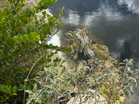 Oasis Visitor Center-奥乔皮必去景点