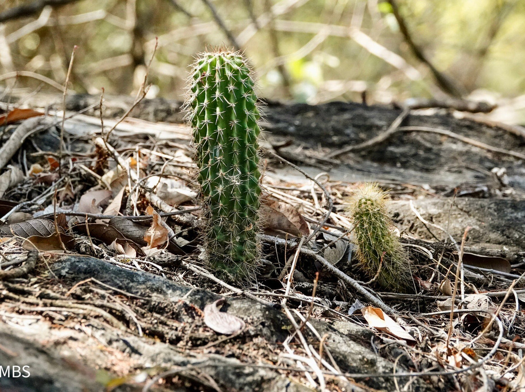 Zapotrek-瓦哈卡必去景点