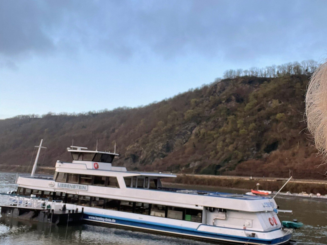 莱茵国王酒店主图