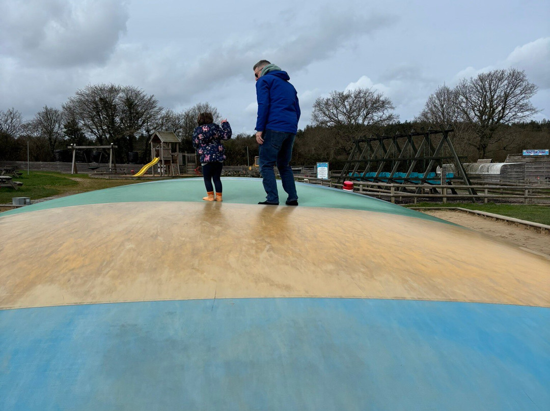 Blackberry Farm Park-刘易斯必去景点