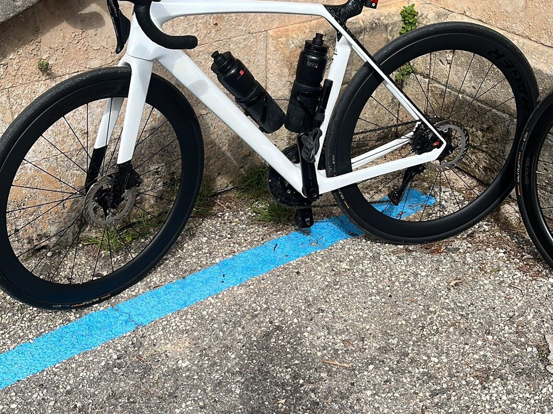 Tramuntana Tours-索列尔港必去景点