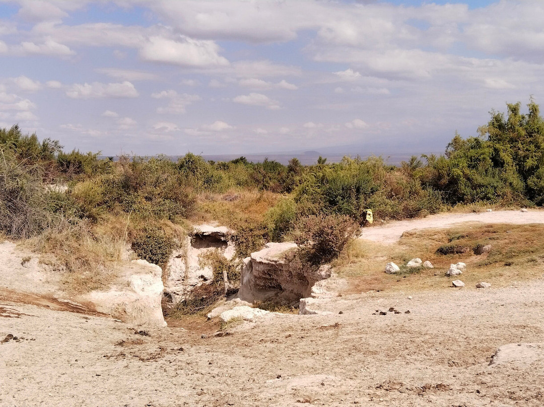 Maasai Safari & Cultural Tours-Kimana必去景点