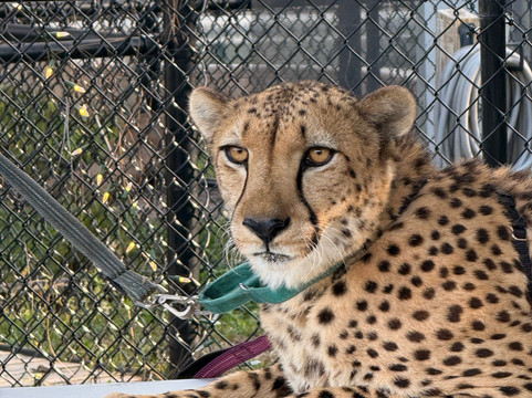 Panther Ridge Conservation Center-Loxahatchee必去景点