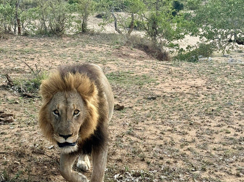 African Journey Safaris-霍德斯普鲁特必去景点