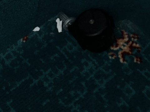 迪尔林登霍夫酒店主图