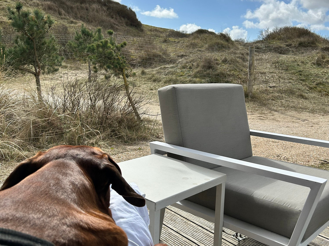 Zandvoort Aan Zee-赞德沃特必去景点
