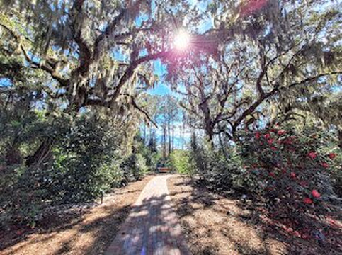 Coastal Discovery Museum-希尔顿头岛必去景点