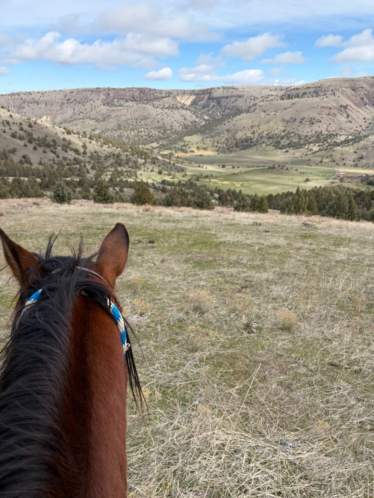 威尔逊农场度假村-官方