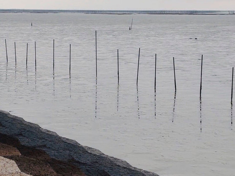 Ariakekai Tideland-鹿岛市必去景点