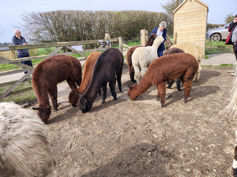 Frankly Farm Tours-Broseley必去景点