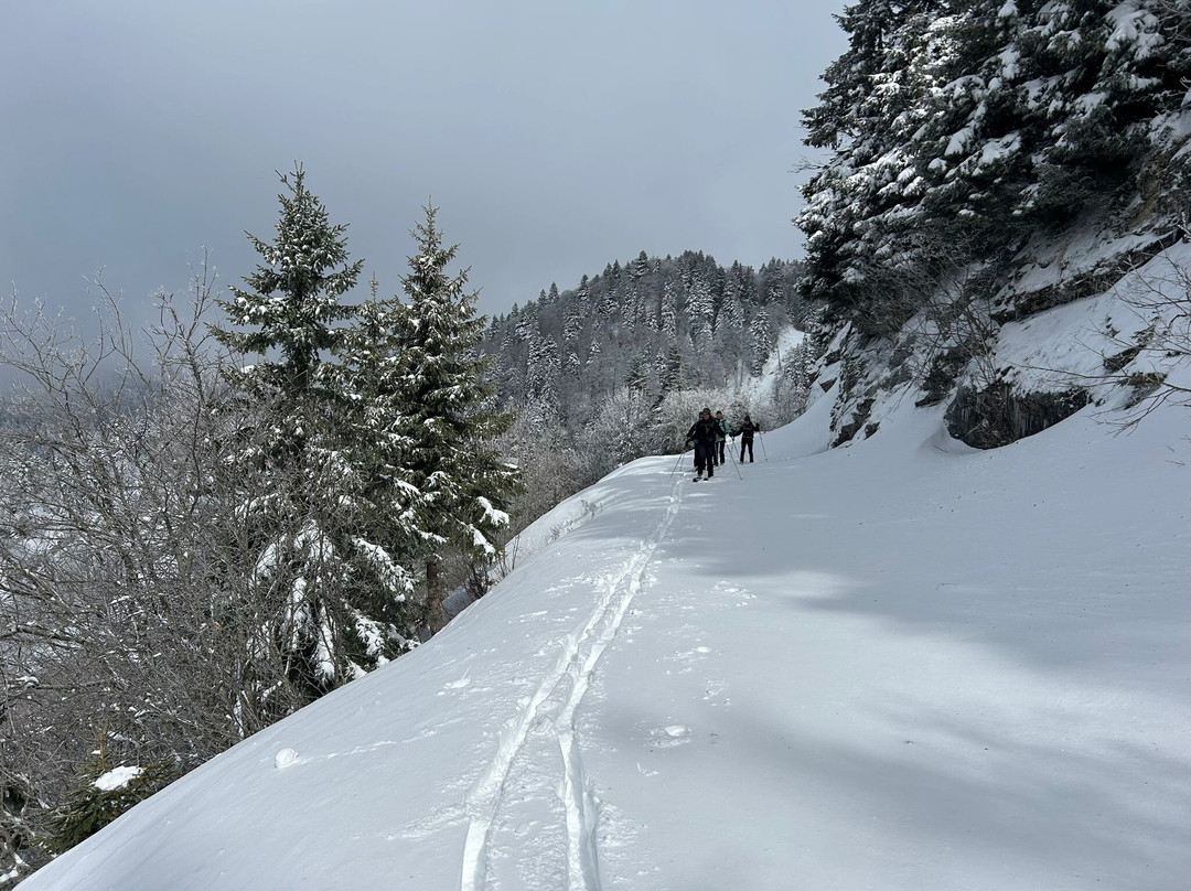 Altitude Biathlon-Autrans-Meaudre-en-Vercors必去景点