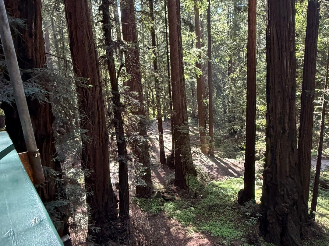 Roaring Camp Railroads-圣克鲁斯必去景点
