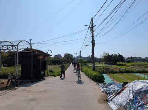 Hoi An Day Trip Company-会安必去景点