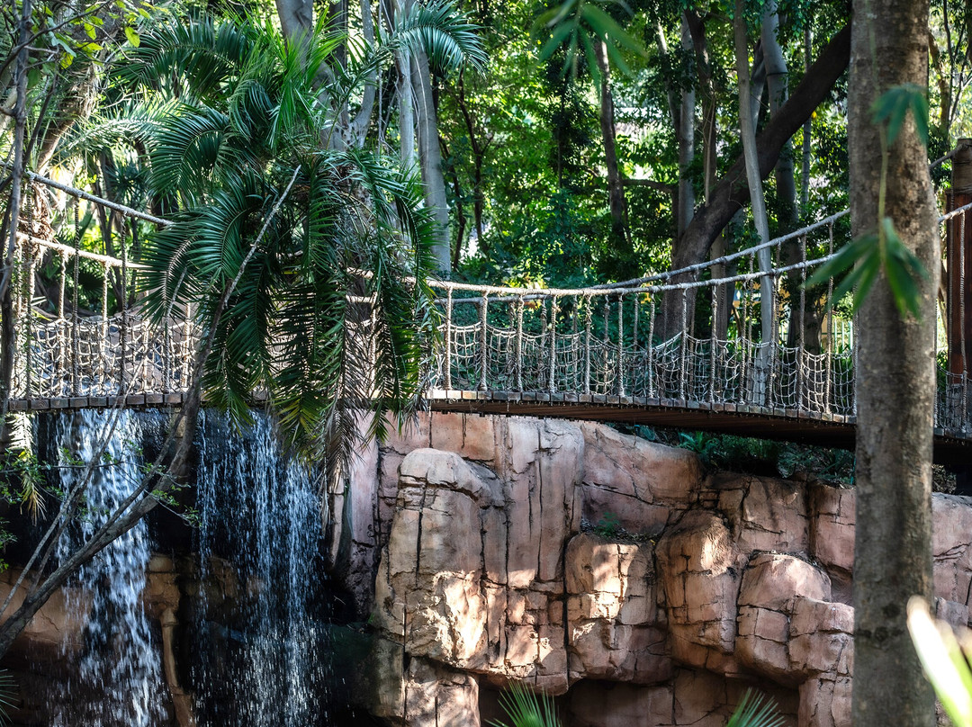 Sun City Resort-鲁斯登堡必去景点