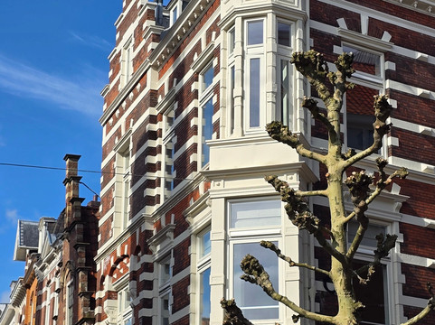 Grote Markt-哈勒姆必去景点