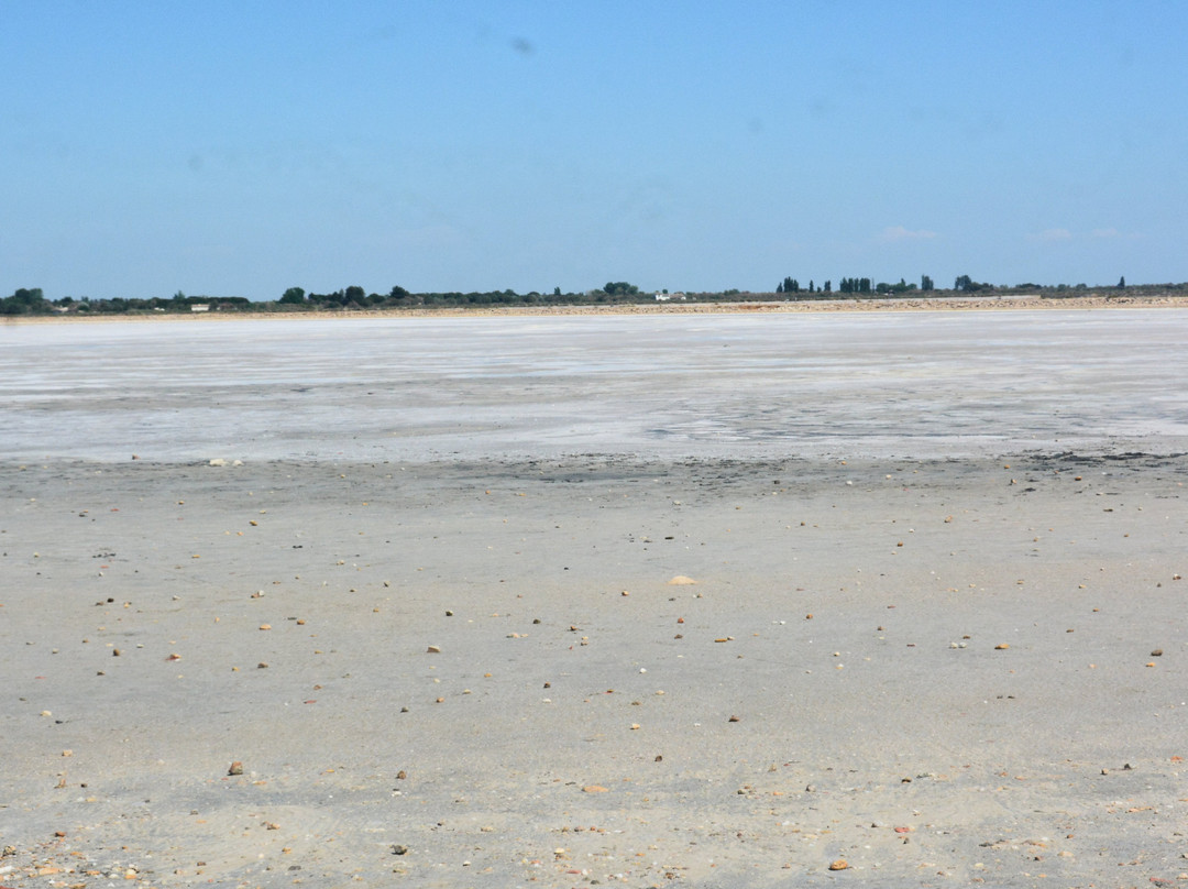 Salin d'Aigues-Mortes-艾格莫尔特必去景点