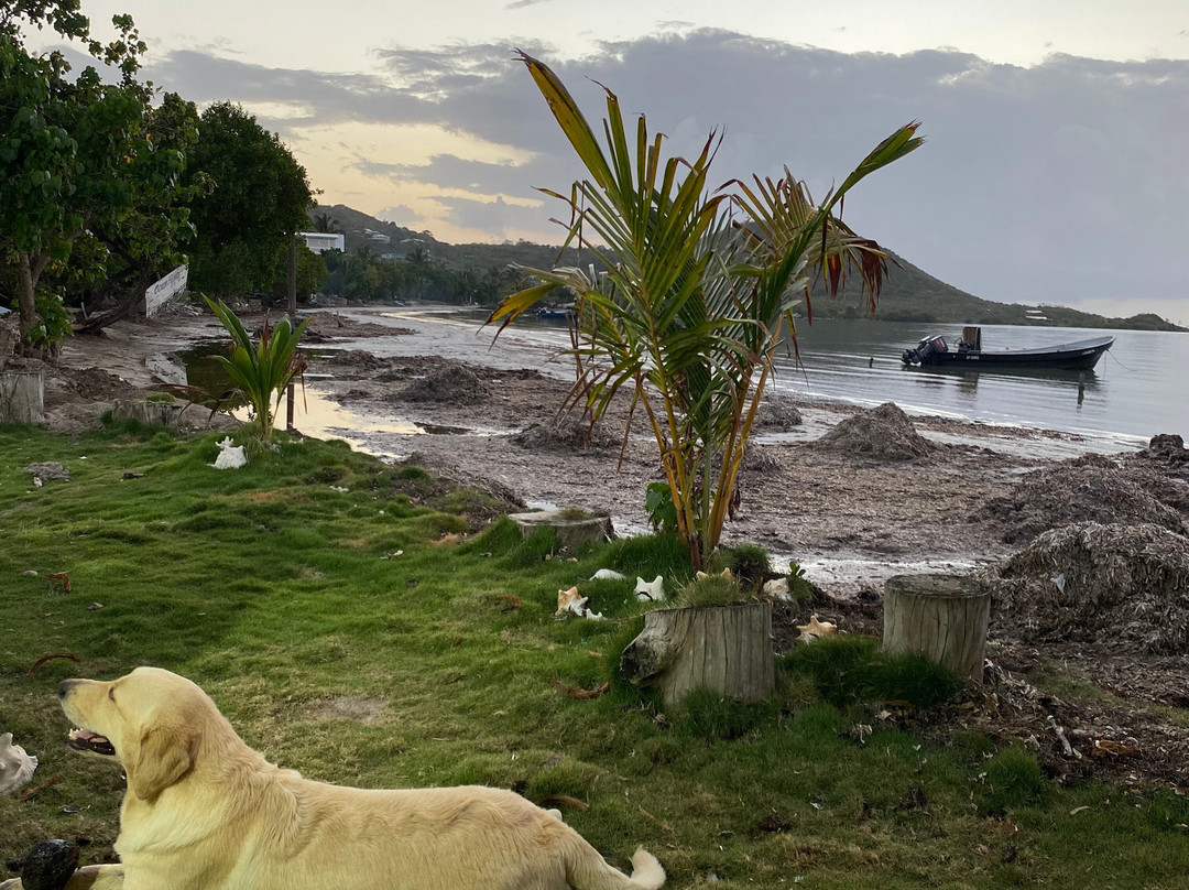 Posada Old Town Bay主图