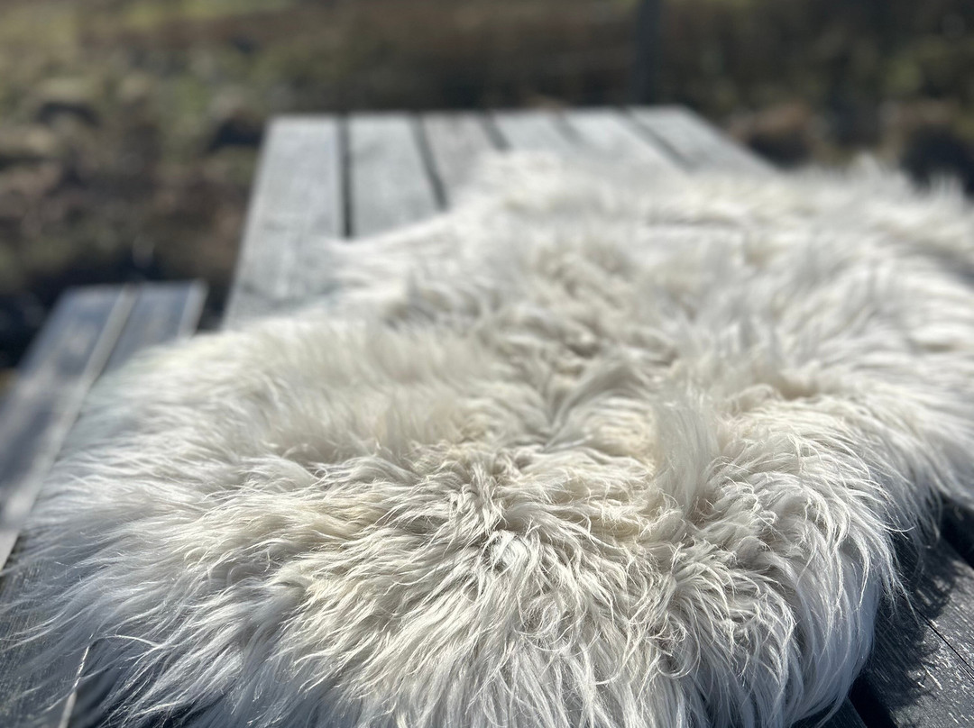 Gift Shop sheepskins skye-Glendale必去景点