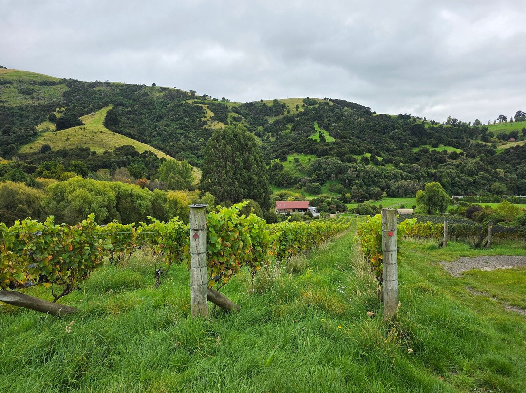 French Peak Vineyard-阿卡罗阿必去景点