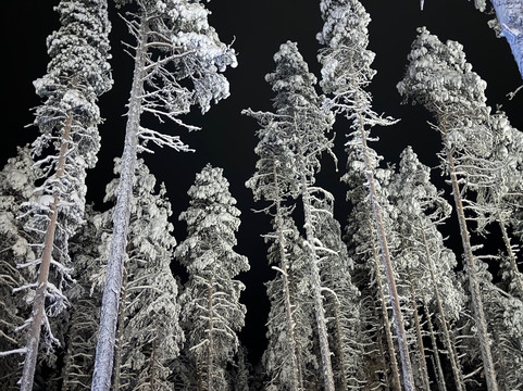 Balder Luxury Lodge & Glass Igloos