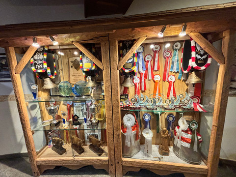 沃勒霍夫阿尔卑斯浪漫酒店主图