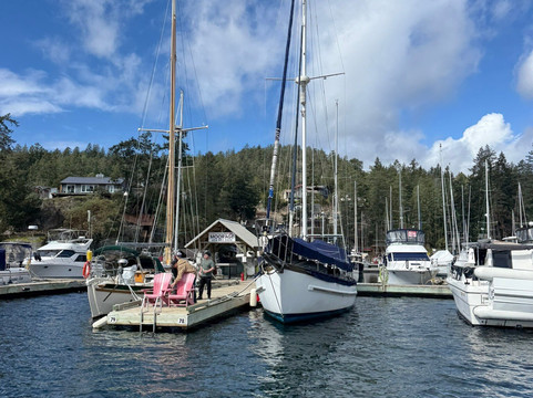 SloCat Harbour Tours-马德拉公园镇必去景点