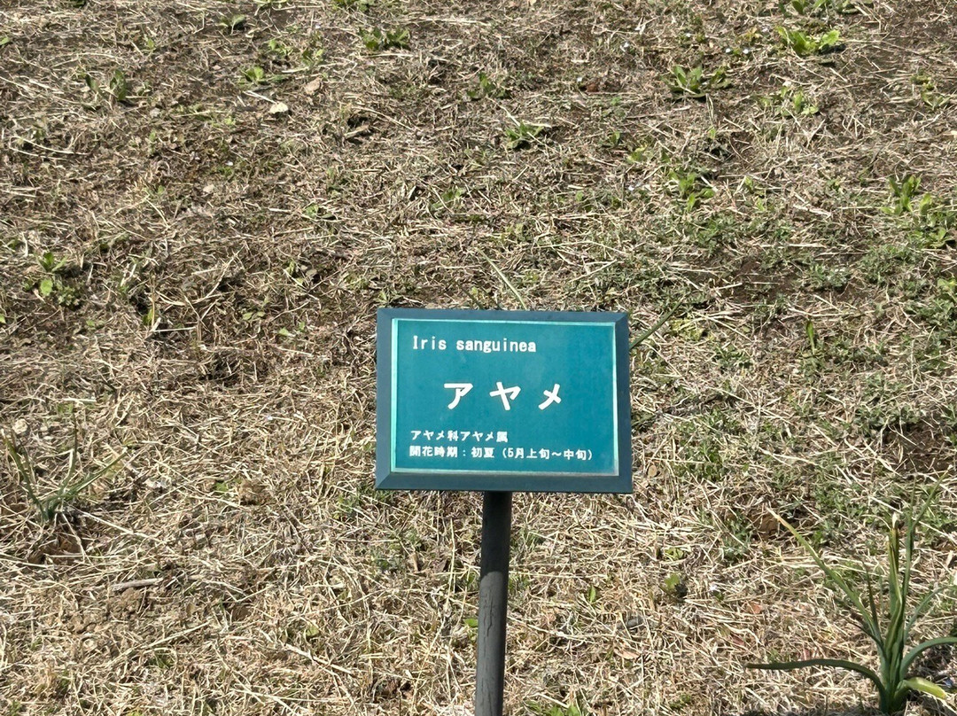 Maebashi Park-前桥县必去景点