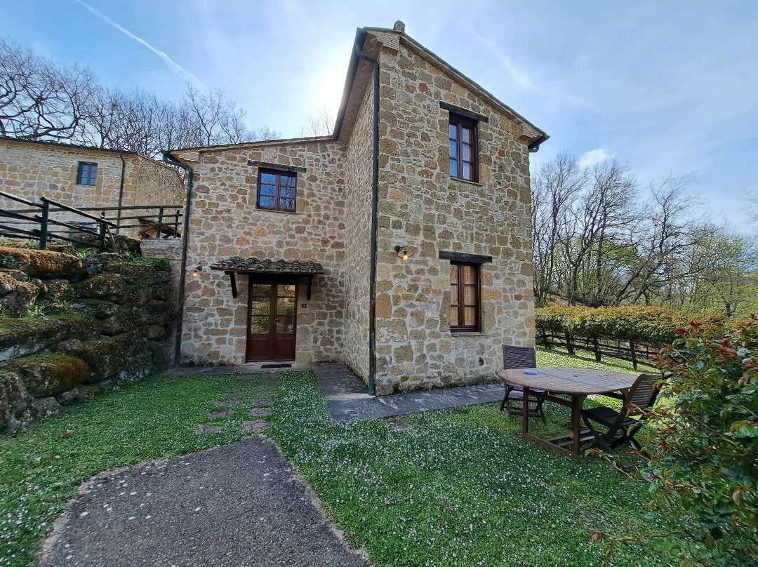 特米蒂索拉诺公寓酒店