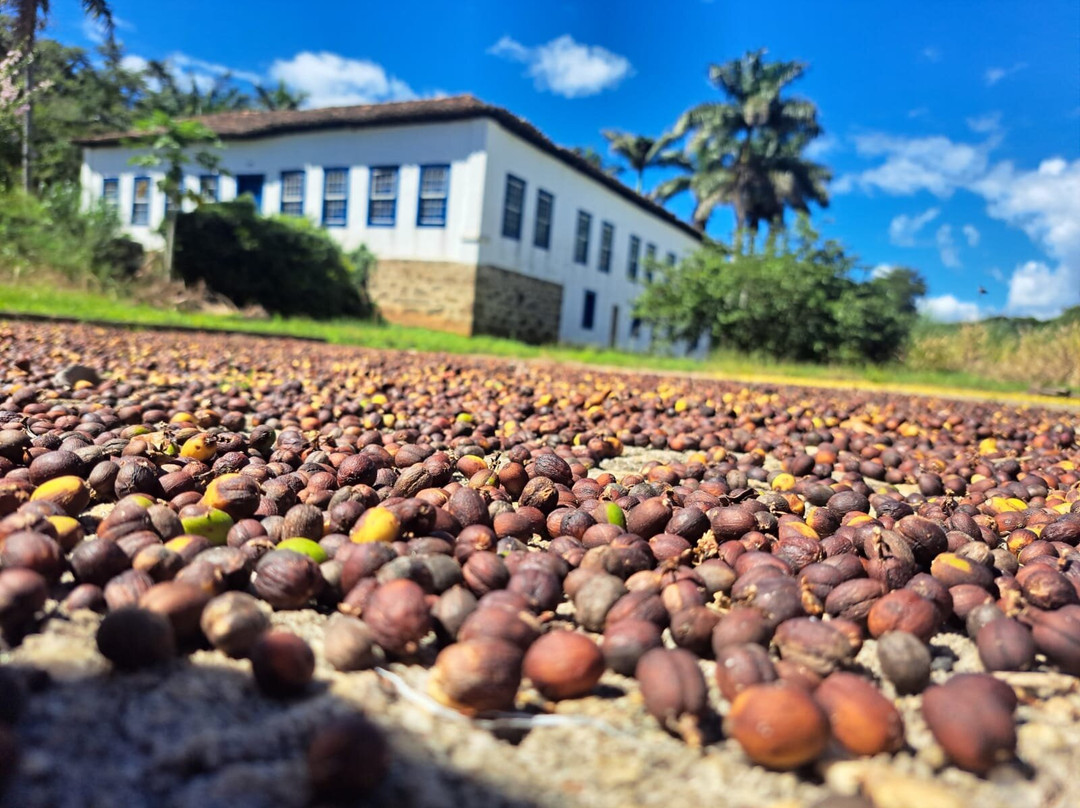 Fazenda da Taquara-Barra do Pirai必去景点