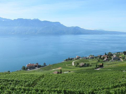 Chateau De Glerolles-St-Saphorin-Lavaux必去景点