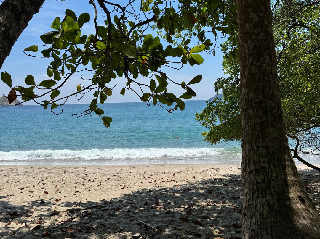 Best of Costa Rica DMC-圣何塞必去景点