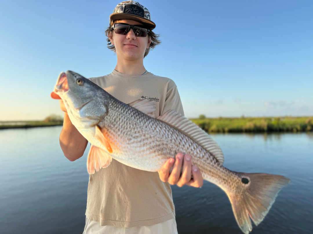 Bayou Charters-Saint Bernard必去景点