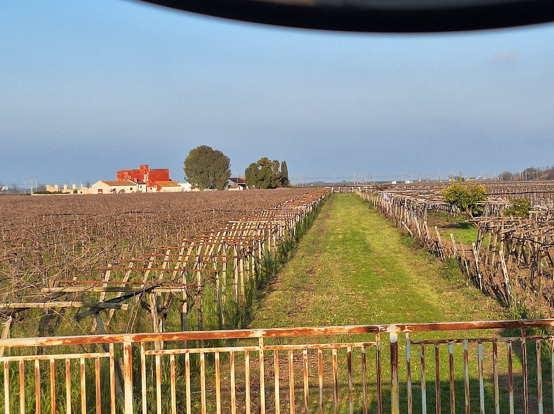 特努特圣弗朗西斯科酒店主图