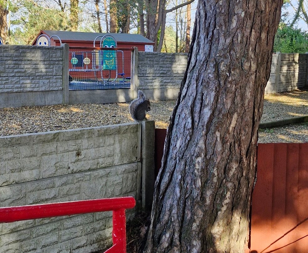 Happy Mount Park-莫克姆必去景点