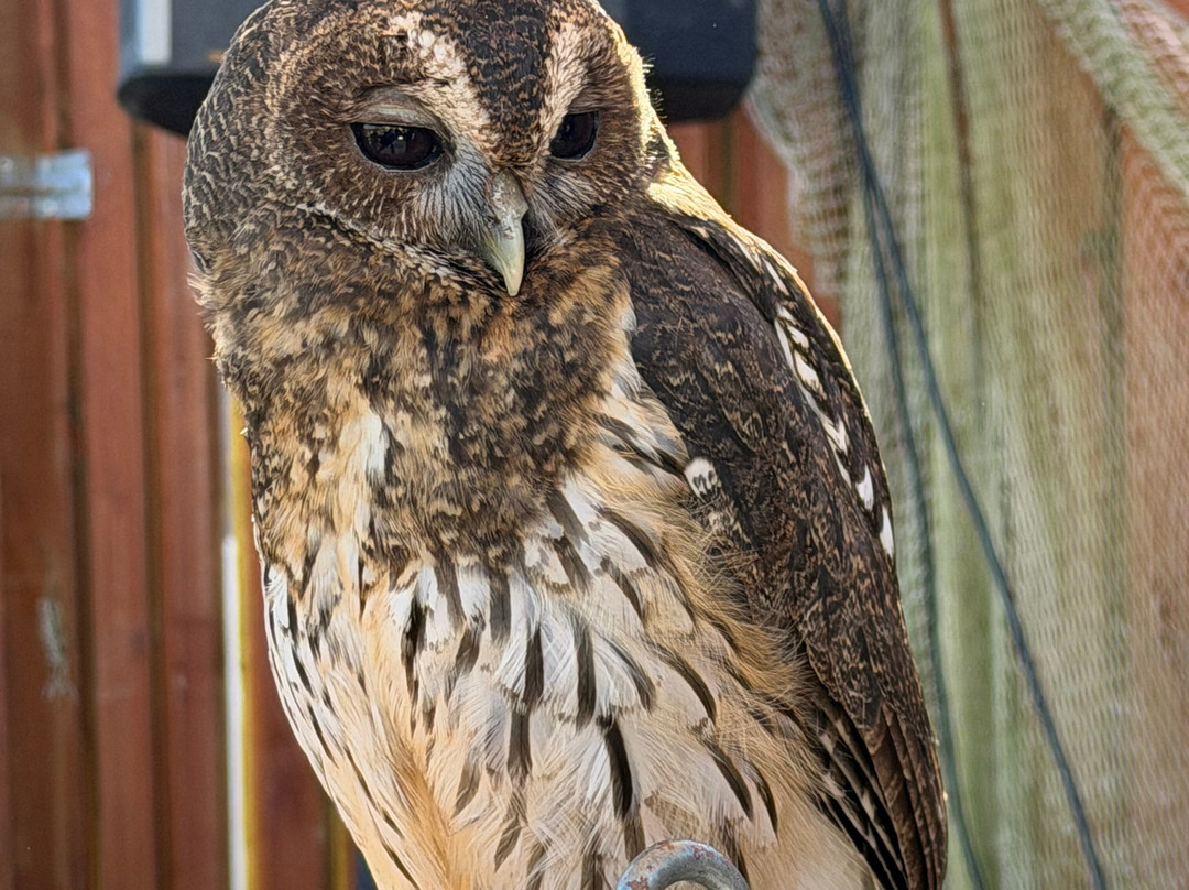 Pangea Park-Bjaeverskov必去景点