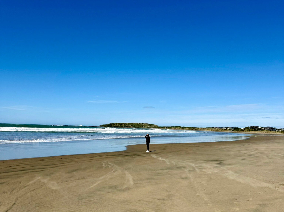 Porpoise Bay-Curio Bay必去景点