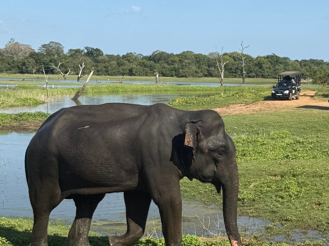 Slow Safaris by Nomad Trails-Sri Lanka-乌达瓦拉瓦必去景点