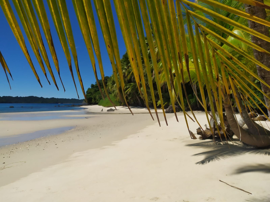 Premier Coiba Tours-Santa Catalina必去景点