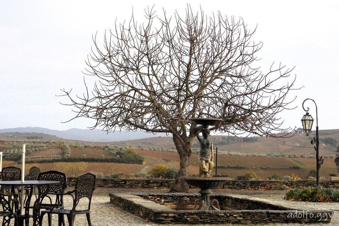 Quinta de Avessada-Favaios必去景点