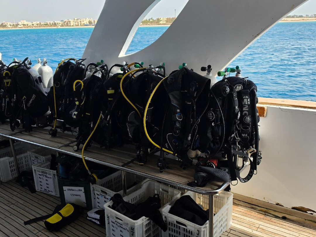 ORCA Dive Club Soma Bay-索马湾必去景点