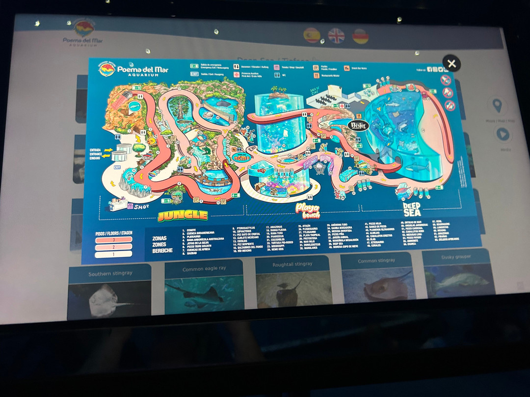 Poema Del Mar-大加那利岛拉斯帕尔马斯必去景点