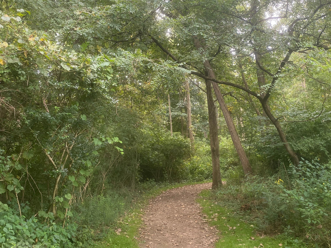 Cascade Valley Park-阿克伦必去景点