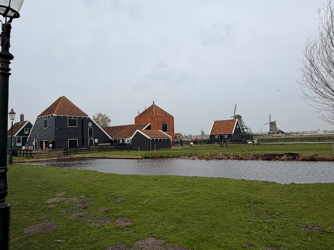 Cherry Travel & Tours-阿姆斯特丹必去景点