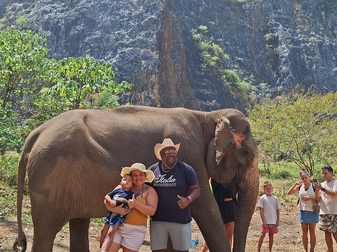 Krabi Elephant Sanctuary-甲米必去景点