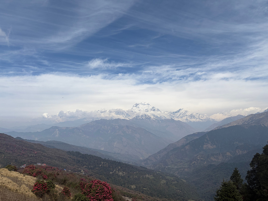 EARTH NEPAL Travel and Trek P. LTD-博卡拉必去景点