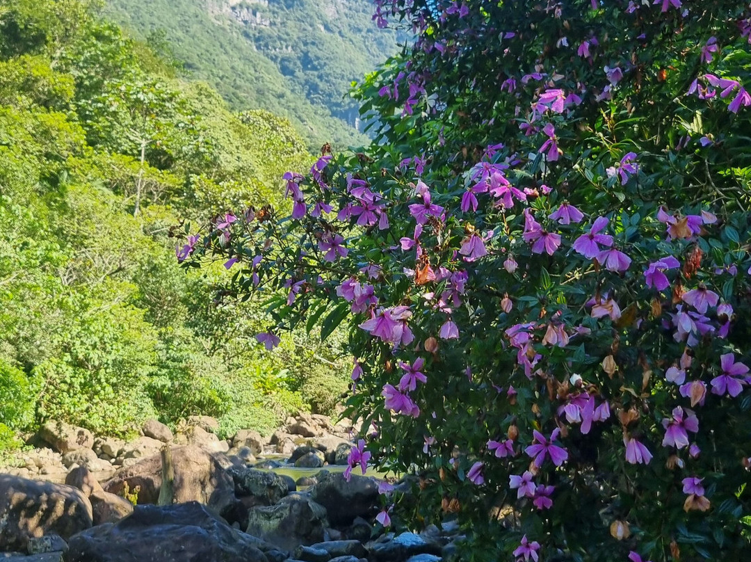 Trilha do Canyon Malacara (entrada na fenda)-Praia Grande必去景点
