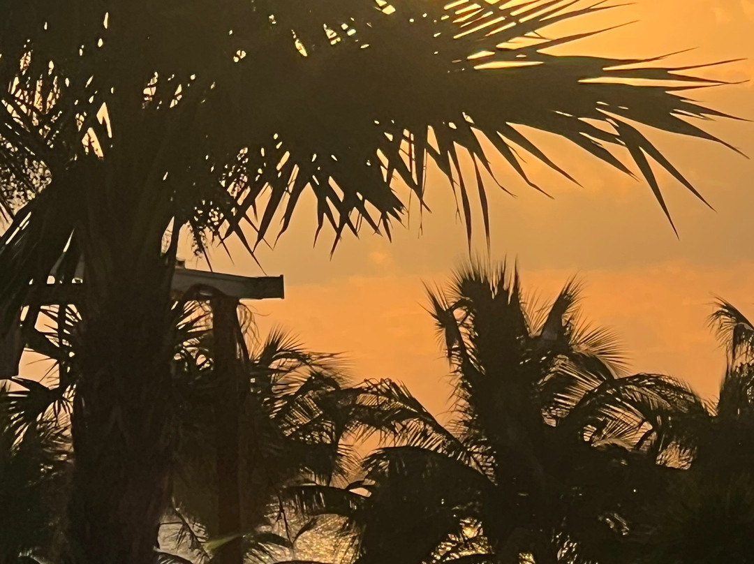 Renova Spa, RIU Palace Costa Mujeres-Costa Mujeres必去景点