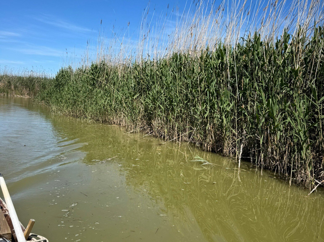 Embarcadero "El Tío Pastilla"-El Palmar必去景点