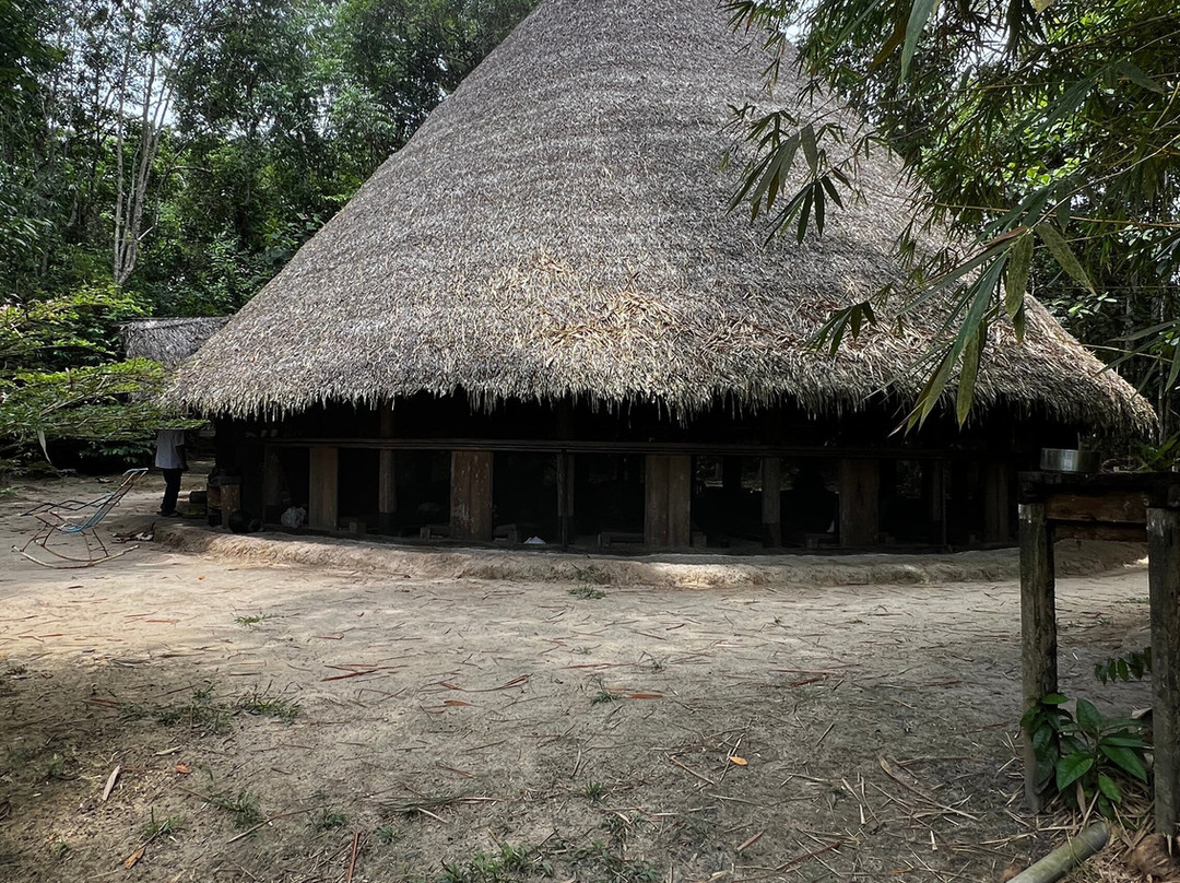 Psychonauta Foundation-伊基托斯必去景点