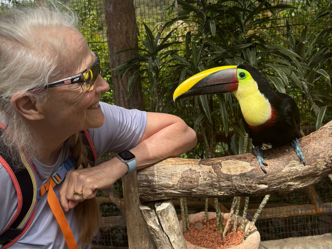 Sol Tropical Day Tours-圣何塞必去景点